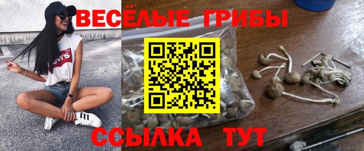 Псилоцибиновые грибы мухоморы Кировск