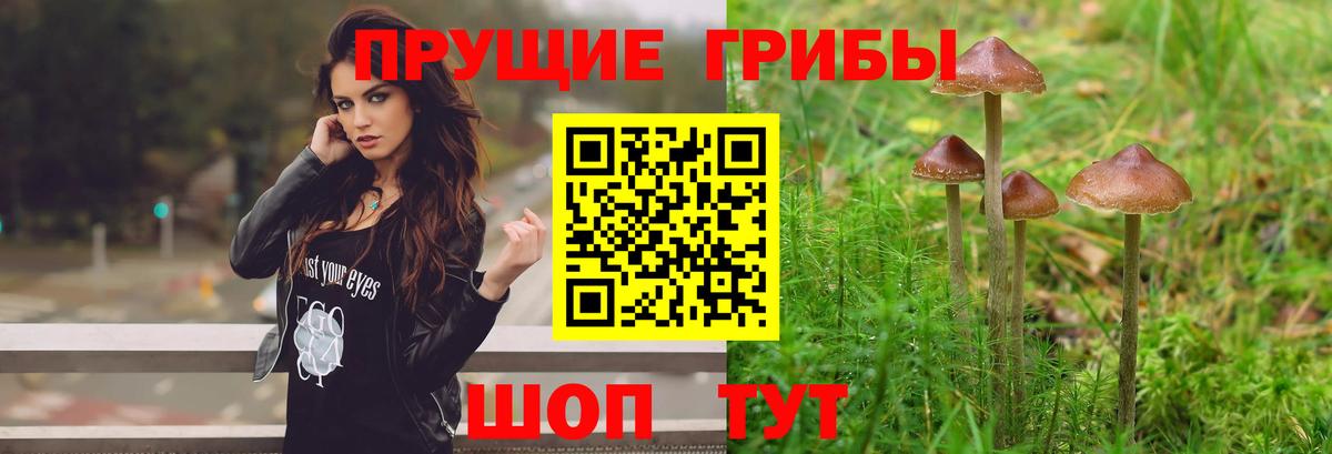 Галлюциногенные грибы ЛСД  Вход с VPN  Псилоцибиновые грибы мухоморы  Кировск 
